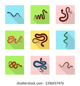 Isolated object of skin and reptile symbol. Collection of skin and danger stock symbol for web.