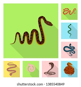 Isolated object of skin and reptile symbol. Collection of skin and danger stock vector illustration.