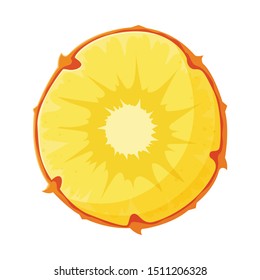 Isolated object of slice and ananas symbol. Graphic of slice and vitamin stock symbol for web.