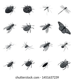Isolated object of small and animal icon. Set of small and wildlife vector icon for stock.