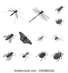 Isolated object of small animal insect symbols. Set of small and wildlife stock symbol for web.