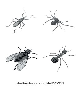 Isolated object of small and animal sign. Collection of small and wildlife stock vector illustration.