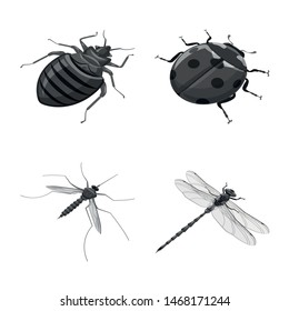 Isolated object of small and animal symbol. Set of small and wildlife stock vector illustration.
