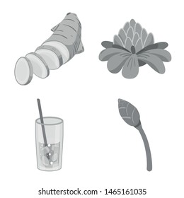 Isolated object of spice and ingredient icon. Collection of spice and product stock symbol for web.