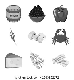 Isolated object of spices  and aroma sign. Collection of spices  and product vector icon for stock.