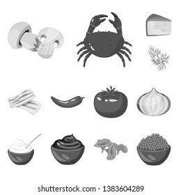 Isolated object of spices  and aroma symbol. Collection of spices  and product stock vector illustration.