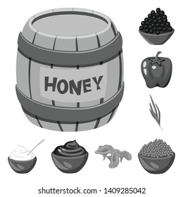 Isolated object of spices  and aroma symbol. Collection of spices  and product stock vector illustration.