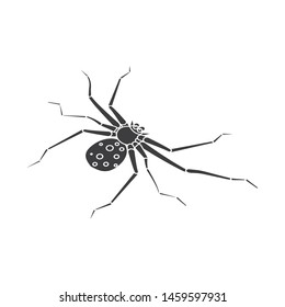 Isolated object of spider and widow icon. Set of spider and funny stock symbol for web.