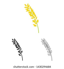 Isolated object of spikelet and rice sign. Set of spikelet and growth stock symbol for web.