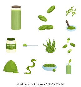 Isolated object of spirulina and seaweed icon. Set of spirulina and vegan stock symbol for web.