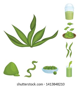 Isolated object of spirulina and seaweed logo. Set of spirulina and vegan stock vector illustration.
