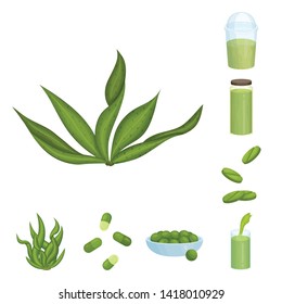 Isolated object of spirulina and seaweed sign. Set of spirulina and vegan stock symbol for web.