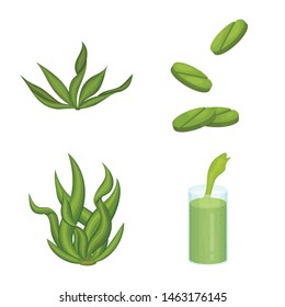 Isolated object of spirulina and seaweed symbol. Collection of spirulina and vegan stock vector illustration.