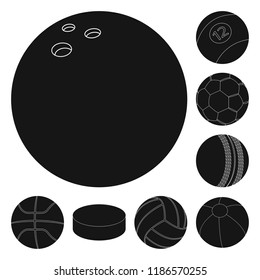 Isolated object of sport and ball icon. Set of sport and athletic vector icon for stock.