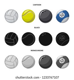 Isolated object of sport and ball logo. Collection of sport and athletic stock symbol for web.