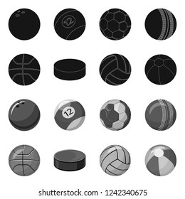 Isolated object of sport and ball logo. Collection of sport and athletic stock vector illustration.