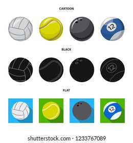 Isolated object of sport and ball sign. Set of sport and athletic vector icon for stock.