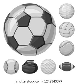 Isolated object of sport and ball sign. Collection of sport and athletic vector icon for stock.