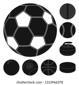 Isolated object of sport and ball sign. Set of sport and athletic stock symbol for web.