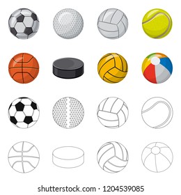 Isolated object of sport and ball symbol. Set of sport and athletic stock symbol for web.