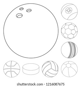 Isolated object of sport and ball symbol. Collection of sport and athletic stock symbol for web.