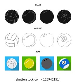 Isolated object of sport and ball symbol. Set of sport and athletic stock symbol for web.