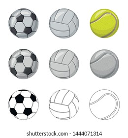 Isolated object of sport and ball symbol. Set of sport and athletic stock symbol for web.