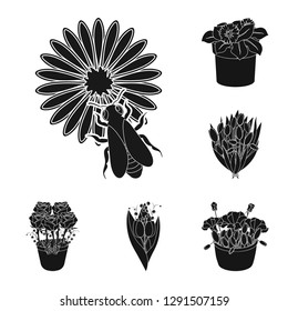 Isolated object of spring and wreath icon. Collection of spring and blossom vector icon for stock.