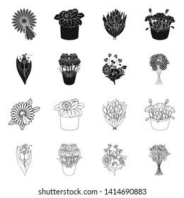Isolated object of spring and wreath icon. Set of spring and blossom stock symbol for web.
