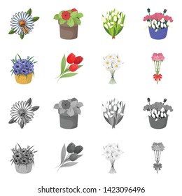Isolated object of spring and wreath icon. Collection of spring and blossom stock vector illustration.