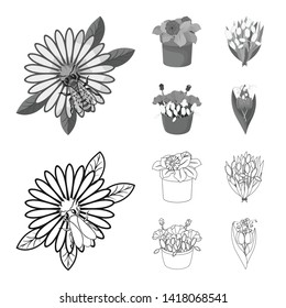 Isolated object of spring and wreath sign. Collection of spring and blossom stock symbol for web.