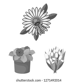 Isolated object of spring and wreath symbol. Collection of spring and blossom vector icon for stock.