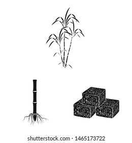 Isolated object of sucrose and technology symbol. Set of sucrose and cane vector icon for stock.