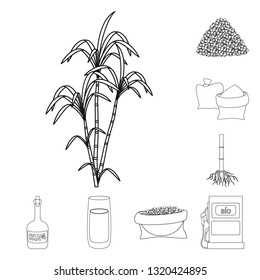 Isolated object of sugar and field sign. Set of sugar and plantation stock symbol for web.
