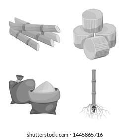 Isolated object of sugarcane and cane icon. Set of sugarcane and field vector icon for stock.