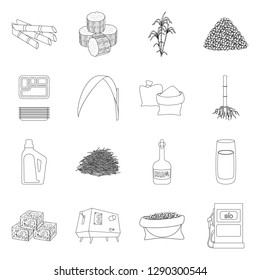 Isolated object of sugarcane and cane sign. Collection of sugarcane and field stock symbol for web.