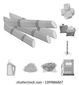 Isolated object of sugarcane and cane sign. Set of sugarcane and field vector icon for stock.