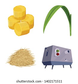 Isolated object of sugarcane and cane symbol. Set of sugarcane and field vector icon for stock.