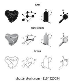 Isolated object of  and  symbol. Set of  and  stock vector illustration.