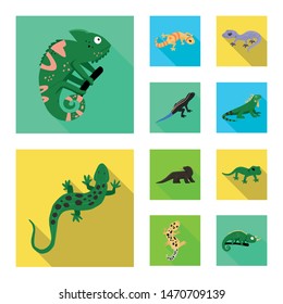 Isolated object of tail and fauna sign. Collection of tail and environment stock symbol for web.