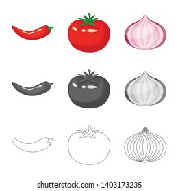 Isolated object of taste and product icon. Collection of taste and cooking stock symbol for web.