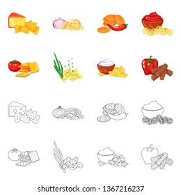 Isolated object of taste and seasonin symbol. Set of taste and organic   stock symbol for web.