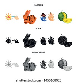 Isolated object of test and synthetic icon. Set of test and laboratory stock symbol for web.