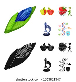 Isolated object of test and synthetic sign. Set of test and laboratory vector icon for stock.