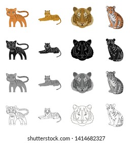 Isolated object of tiger and asian icon. Collection of tiger and tattoo stock symbol for web.