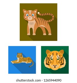 Isolated object of tiger and asian sign. Collection of tiger and tattoo stock symbol for web.