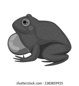 Isolated object of toad and biology icon. Set of toad and brown stock vector illustration.