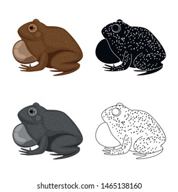 Isolated object of toad and biology icon. Set of toad and brown stock vector illustration.
