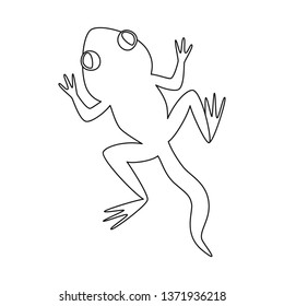 Isolated object of toad and green icon. Set of toad and toxic vector icon for stock.