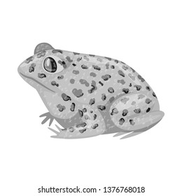 Isolated object of toad and tropical symbol. Set of toad and points stock symbol for web.